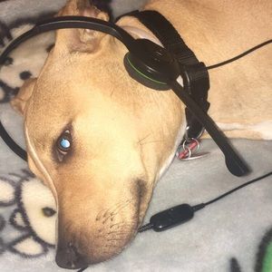 Meet your Posher, Alicia